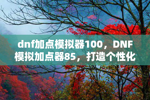 dnf加点模拟器100图片