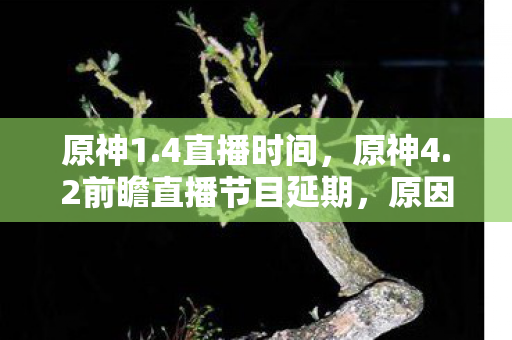 2前瞻直播节目延期图片