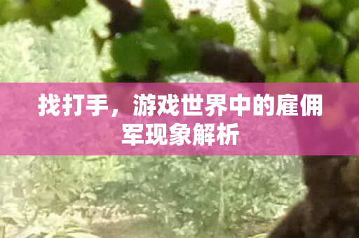 游戏世界中的雇佣军现象解析图片