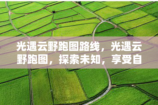 光遇云野跑图路线，光遇云野跑图，探索未知，享受自由之旅