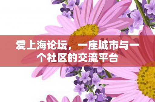 爱上海论坛，一座城市与一个社区的交流平台