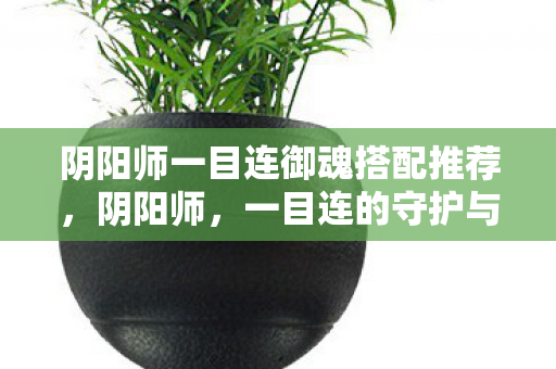 阴阳师一目连御魂搭配推荐图片