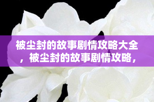 被尘封的故事剧情攻略大全图片