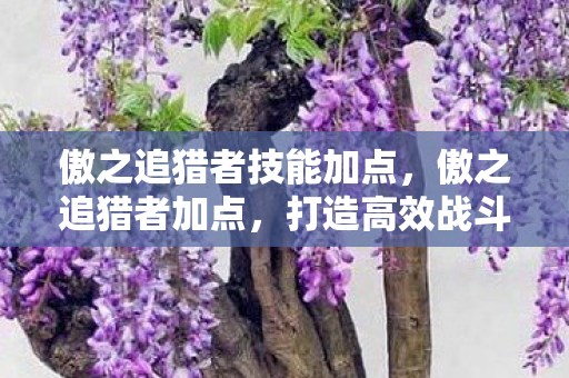 打造高效战斗力的关键图片