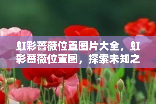 虹彩蔷薇位置图片大全,虹彩蔷薇位置图,探索未知之美的神秘之旅 虹彩蔷薇位置图片大全,虹彩蔷薇位置图,探索未知之美的神秘之旅