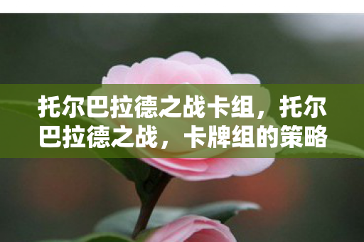 托尔巴拉德之战卡组图片