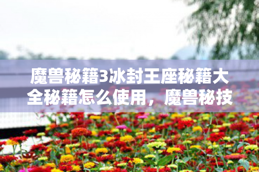 魔兽秘籍3冰封王座秘籍大全秘籍怎么使用图片