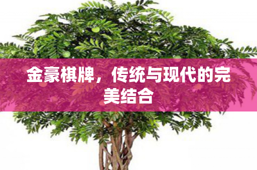 金豪棋牌，传统与现代的完美结合