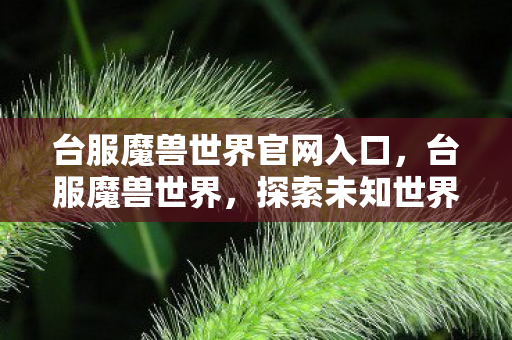 探索未知世界的奇幻之旅图片