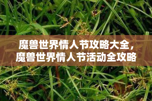 魔兽世界情人节活动全攻略图片