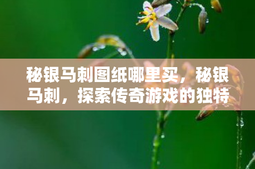 探索传奇游戏的独特魅力图片