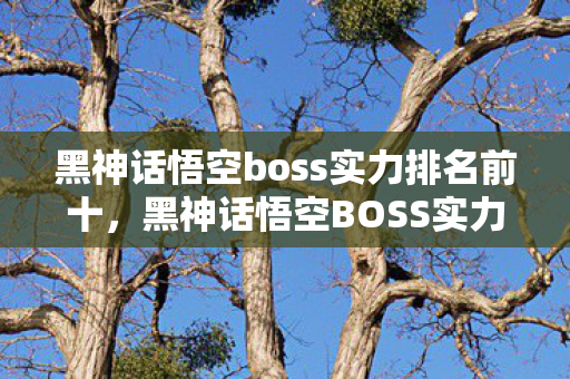 黑神话悟空boss实力排名前十,黑神话悟空BOSS实力排名 黑神话悟空boss实力排名前十,黑神话悟空BOSS实力排名