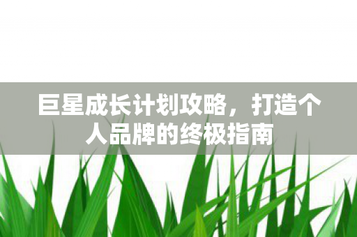 巨星成长计划攻略，打造个人品牌的终极指南