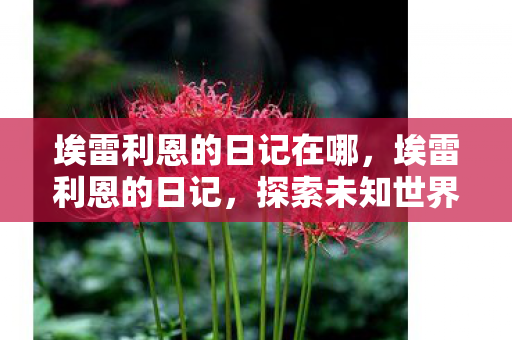 探索未知世界的奇妙旅程图片