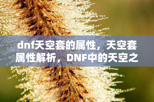 dnf天空套的属性,天空套属性解析,DNF中的天空之翼 dnf天空套的属性,天空套属性解析,DNF中的天空之翼