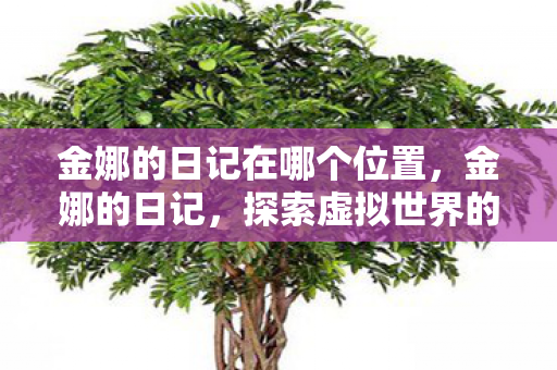探索虚拟世界的奇妙之旅图片