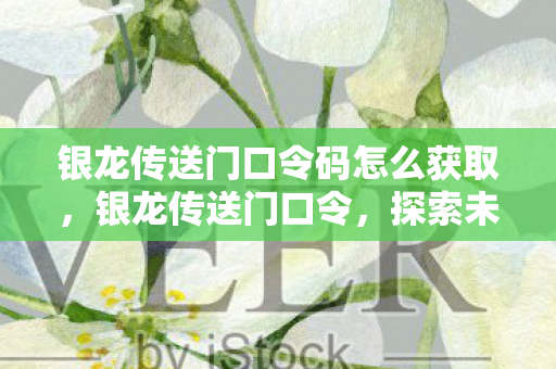银龙传送门口令码怎么获取图片