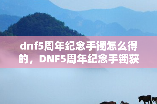 dnf5周年纪念手镯怎么得的图片