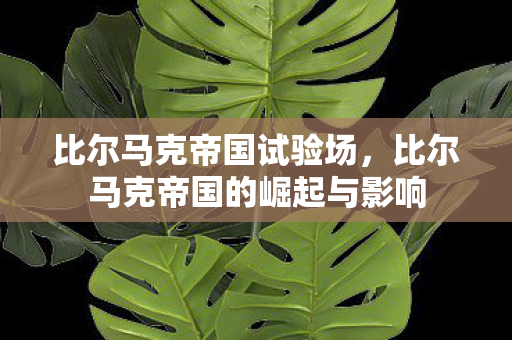 比尔马克帝国试验场,比尔马克帝国的崛起与影响 比尔马克帝国试验场,比尔马克帝国的崛起与影响