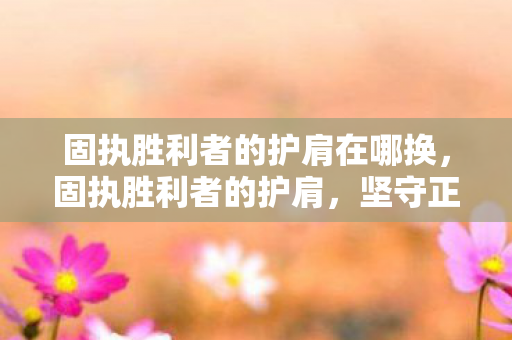 固执胜利者的护肩在哪换图片