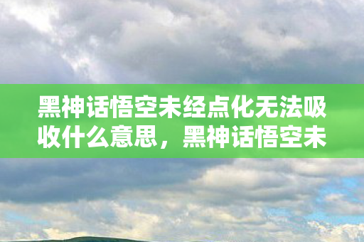 黑神话悟空未经点化无法吸收什么意思图片
