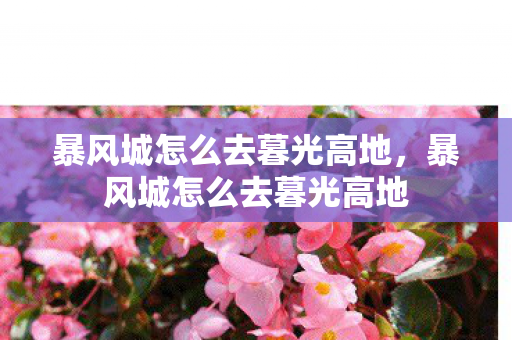 暴风城怎么去暮光高地图片