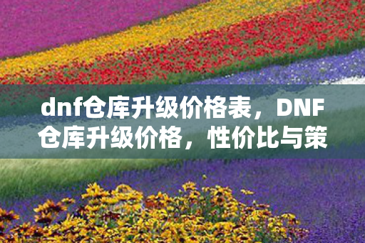 dnf仓库升级价格表图片