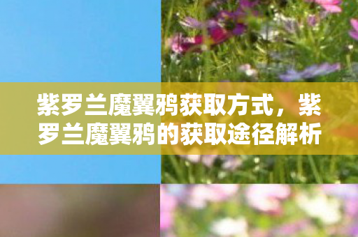 紫罗兰魔翼鸦的获取途径解析图片