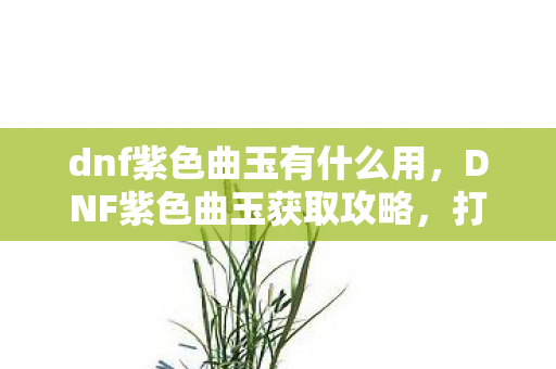 dnf紫色曲玉有什么用图片