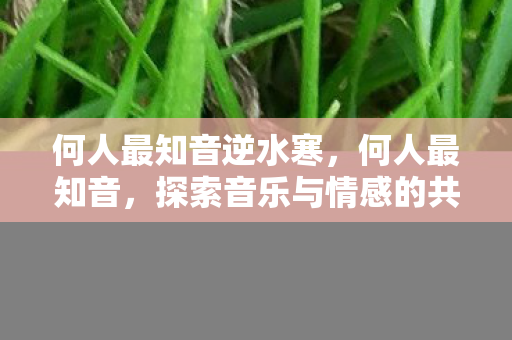 探索音乐与情感的共鸣图片