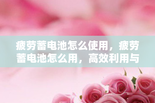 疲劳蓄电池怎么使用图片