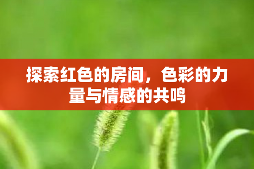 探索红色的房间,色彩的力量与情感的共鸣 探索红色的房间,色彩的力量与情感的共鸣