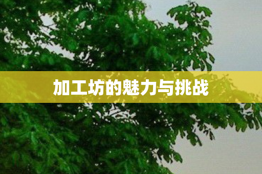 加工坊的魅力与挑战 加工坊的魅力与挑战