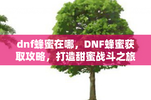 DNF蜂蜜获取攻略图片