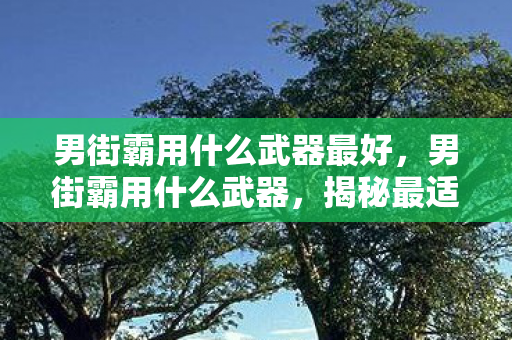 男街霸用什么武器最好图片