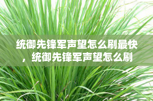 统御先锋军声望怎么刷最快图片
