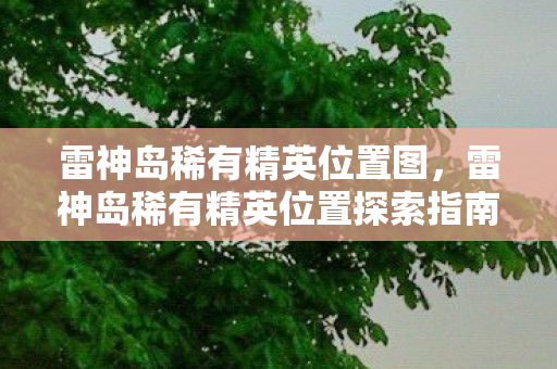雷神岛稀有精英位置探索指南图片