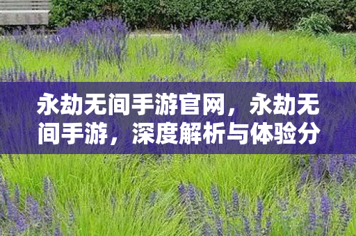 深度解析与体验分享图片