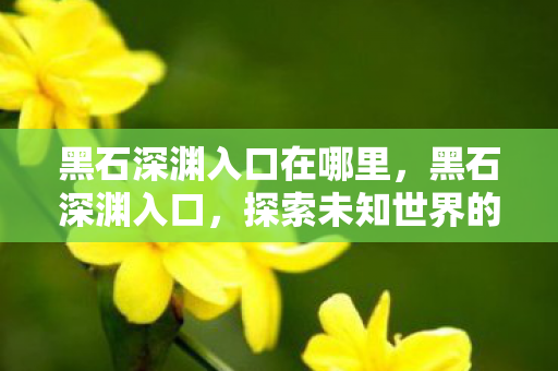 探索未知世界的神秘门户图片