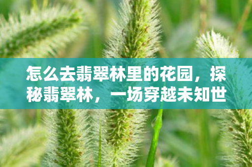 一场穿越未知世界的奇幻之旅图片
