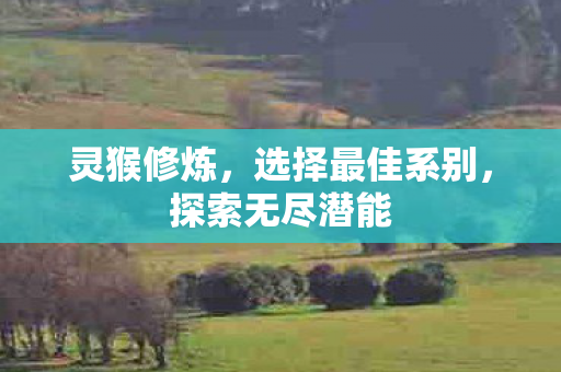 灵猴修炼，选择最佳系别，探索无尽潜能