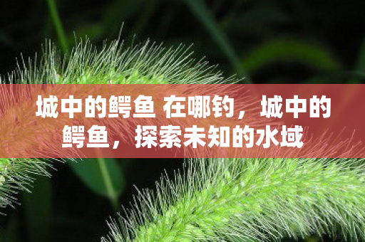 城中的鳄鱼 在哪钓图片