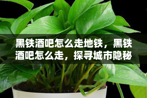 探寻城市隐秘角落的指南图片