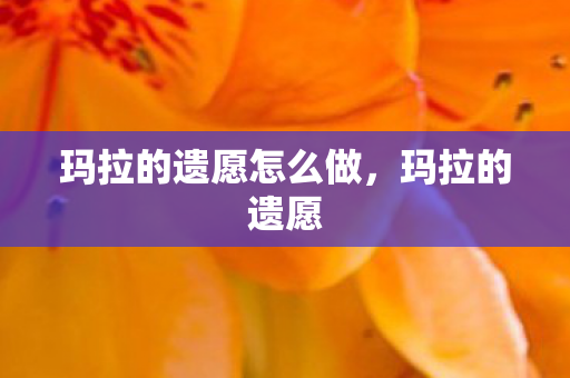 玛拉的遗愿怎么做图片
