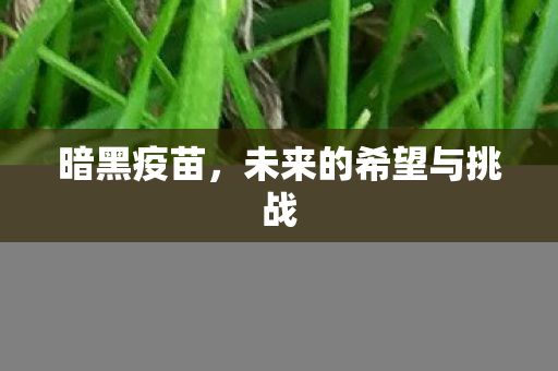 暗黑疫苗,未来的希望与挑战 暗黑疫苗,未来的希望与挑战