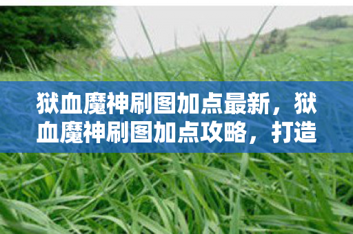 狱血魔神刷图加点最新图片