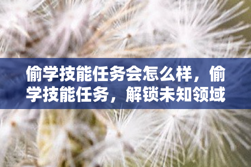 偷学技能任务会怎么样图片