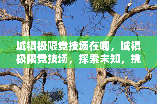 城镇极限竞技场在哪图片