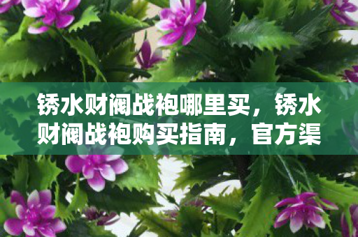锈水财阀战袍购买指南图片