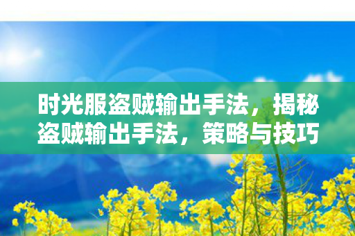 策略与技巧的深度剖析图片